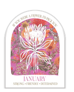 January - Native Flower Plaques