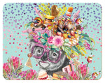 Oz Foodie Koala