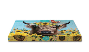 Sunny Highland Placemats
